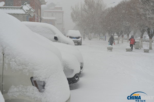 新疆巴里坤遭遇大雪降溫天氣5