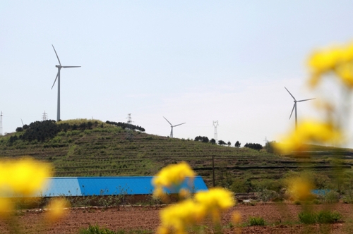 這是5月6日拍攝的山東威海中廣核風(fēng)電場(chǎng)。