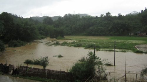 5月18日，在廣西昭平縣馬江鎮(zhèn)新興村，河水上漲淹沒(méi)部分農(nóng)田。