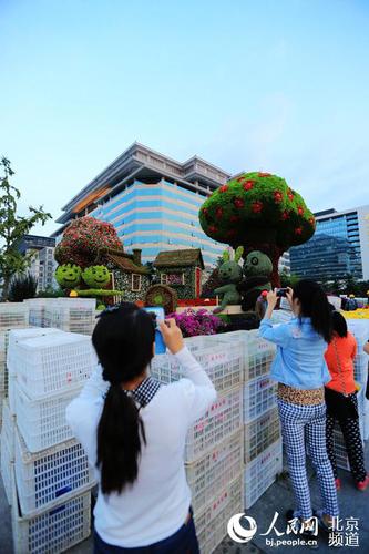 位于長安街沿線的“和諧家園”立體花壇尚未布置完畢，市民游客已在觀賞留影。