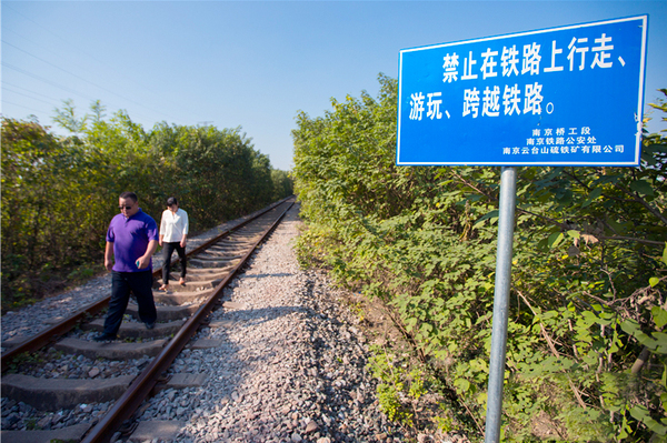 南京“愛情隧道”年底將砍光-網(wǎng)友：刀下留樹2