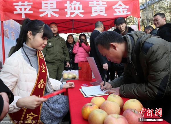 2014年12月23日，河南省鄭州市，在二七路一珠寶廣場(chǎng)，200多位市民排起了數(shù)十米長(zhǎng)隊(duì)，拿著蘋果等待換黃金。據(jù)介紹，為了迎圣誕節(jié)，凡持一對(duì)蘋果到當(dāng)?shù)匾恢閷毜?，即可免費(fèi)兌換迷你“招財(cái)金”小金條一個(gè)。圖為市民在排隊(duì)兌換。盧鍵 攝 圖片來(lái)源：東方IC 版權(quán)作品 請(qǐng)勿轉(zhuǎn)載