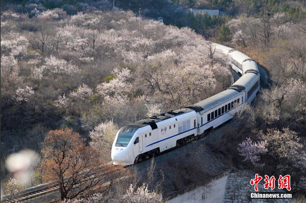 和諧號列車穿越居庸關花海 被贊開往春天的列車5