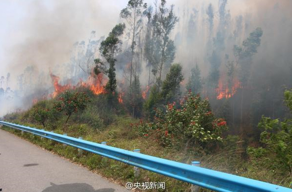 廣西一運鈔車起火-11箱鈔票被燒2