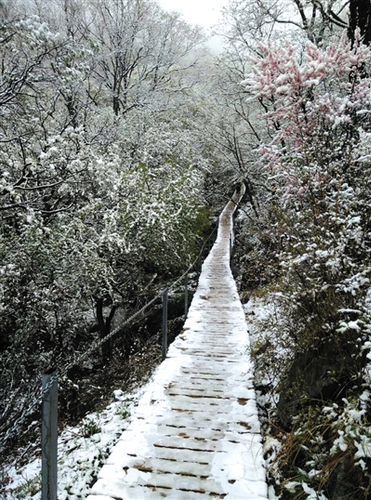 昨日中午，靈山上飄起小雪，至下午3點30分左右雪停。