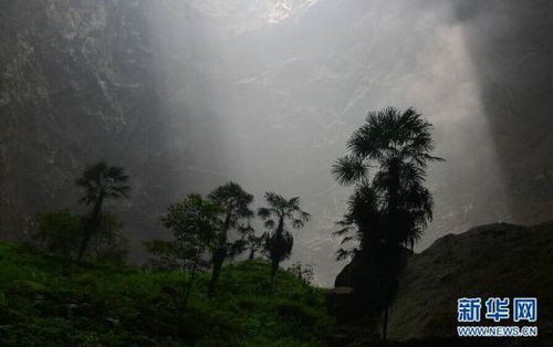 　5月19日，陽(yáng)光照進(jìn)鑼圈巖天坑。