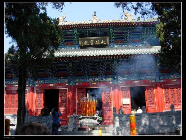 少林寺免費(fèi)發(fā)玉米:每天限量派送5000多穗 游客排隊(duì)領(lǐng)取