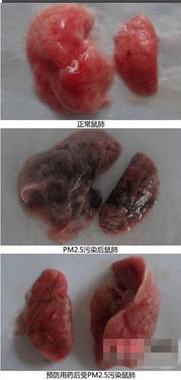 霧霾謠言大起底 你能識破多少個？