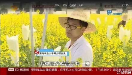 曝大學(xué)生實驗田油菜花被游客摘 或無法畢業(yè)(圖)