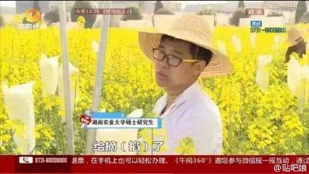 曝大學(xué)生實驗田油菜花被游客摘 或無法畢業(yè)(圖)