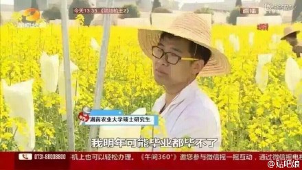 曝大學(xué)生實驗田油菜花被游客摘 或無法畢業(yè)(圖)