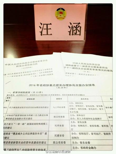 汪涵參加湖南政協(xié)會議 可惜只露名字不露臉