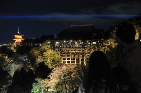 日本京都市的清水寺在春季夜間特別參觀正式開始之前進行試亮燈，剛剛開放的櫻花與“清水舞臺”一同浮現(xiàn)在春天的夜色之中。