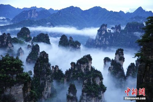 飄渺無形的云海穿梭在連綿峰林間，奇美無比。1