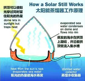 假如被困海上 該選擇喝尿還是喝海水？