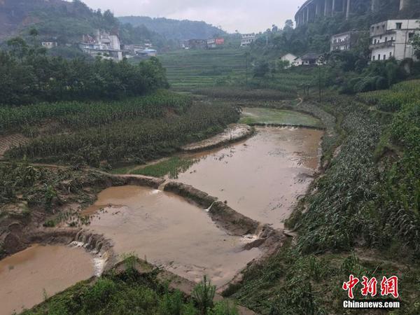 四川敘永遭遇58年來(lái)最大洪水 3