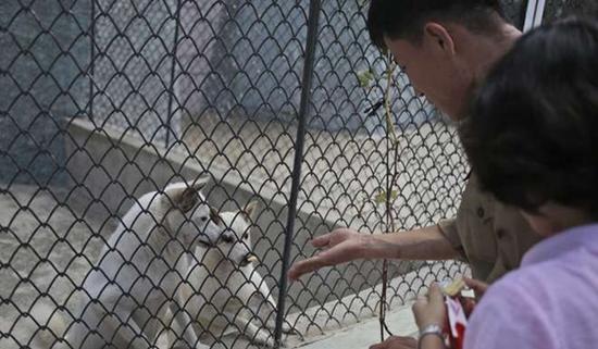 朝鮮平壤動物園里啥模樣？“狗屋”是最熱門景點