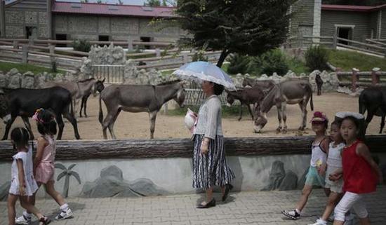 朝鮮平壤動物園里啥模樣？“狗屋”是最熱門景點