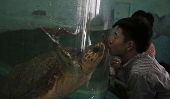 朝鮮平壤動物園里啥模樣？“狗屋”是最熱門景點