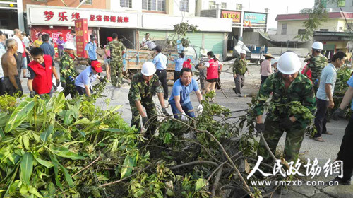 在搶險(xiǎn)救災(zāi)現(xiàn)場(chǎng)，海滄區(qū)政協(xié)機(jī)關(guān)黨員、干部與群眾協(xié)力扶綠、清障、打掃。