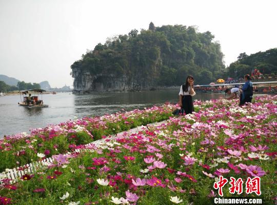 10月6日，游客在桂林城徽象山景區(qū)游玩?！W惠蘭 攝