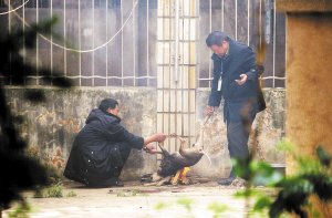 男子當街生火烤狗