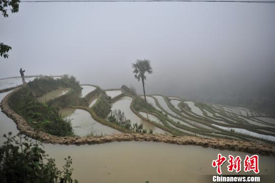 探訪世界遺產(chǎn)哈尼梯田：遭遇農(nóng)業(yè)人口外流危機