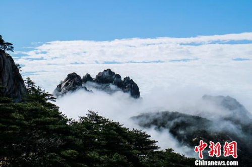  9日，安徽黃山風(fēng)景區(qū)經(jīng)過昨夜雷雨天氣的洗禮，云海、佛光等壯麗風(fēng)景展現(xiàn)在游客們的眼前。　李金剛 攝