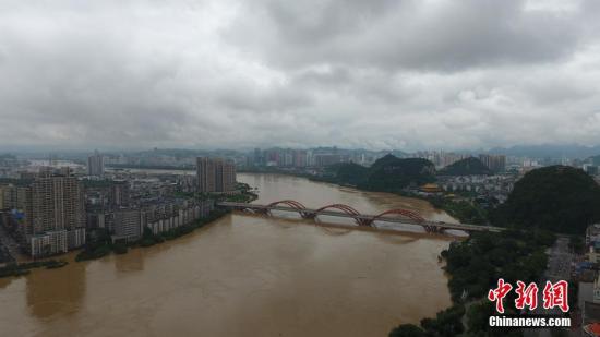 資料圖：7月3日，因受連日暴雨影響，廣西柳江河柳州段出現(xiàn)超警戒水位。 王以照 攝