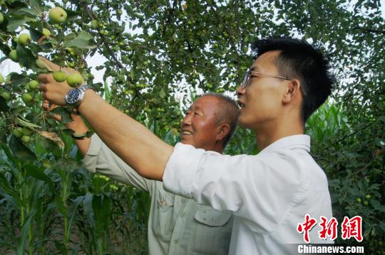 到2016年10月底，梁磊公司已累計(jì)向貧困戶果農(nóng)收購海紅果2700噸?！⊥醣筇?攝