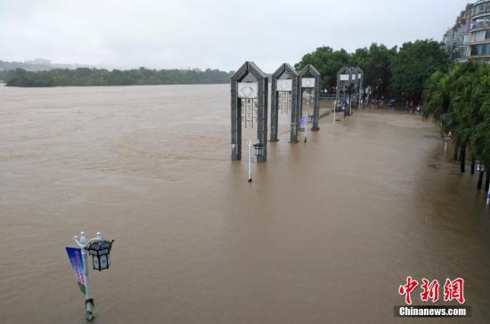 受新一輪連續(xù)強(qiáng)降雨影響，8月15日2時(shí)10分，漓江桂林水文站出現(xiàn)147.51米洪峰水位，超警戒水位1.51米，為今年最大洪水。當(dāng)天漓江旅游船舶、排筏全線(xiàn)封航。 趙琳露 攝