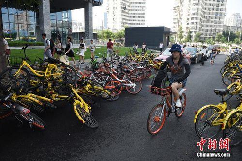 8月3日，北京街頭的共享單車。<a target='_blank' href='http://www.chinanews.com/'>中新社</a>記者 侯宇 攝