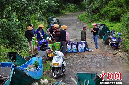 臺(tái)風(fēng)“卡努”致廣東湛江直接經(jīng)濟(jì)損失逾8億元