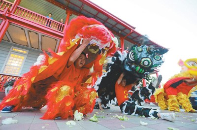 蘇里南首都帕拉馬里博，華裔民眾進(jìn)行舞獅表演，歡迎中國傳統(tǒng)春節(jié)到來。 　　人民視覺