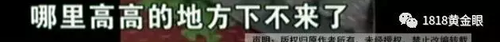 被罰站窗臺(tái)、關(guān)小黑屋？杭州一早教園或體罰孩子