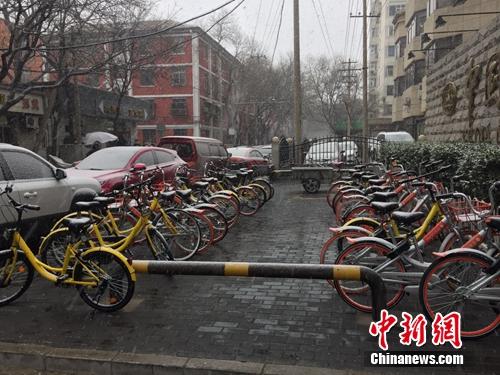 資料圖：風(fēng)雪中的共享單車。<a target='_blank' href='http://www.chinanews.com/' >中新網(wǎng)</a> 吳濤攝