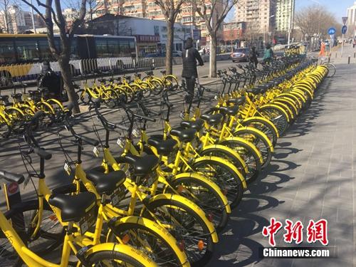 資料圖：一排共享單車整齊碼放。<a target='_blank' href='http://www.chinanews.com/' >中新網(wǎng)</a> 吳濤 攝