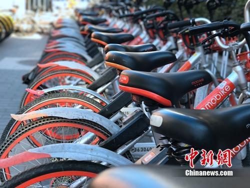 清一色的摩拜單車整齊擺放。<a target='_blank' href='http://www.chinanews.com/' >中新網(wǎng)</a> 吳濤 攝