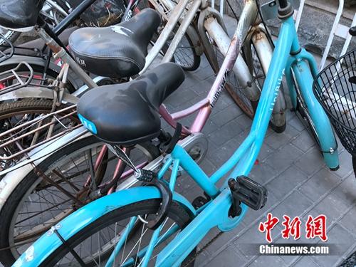 共享單車車座上落滿灰塵。<a target='_blank' href='http://www.chinanews.com/' >中新網(wǎng)</a> 吳濤 攝