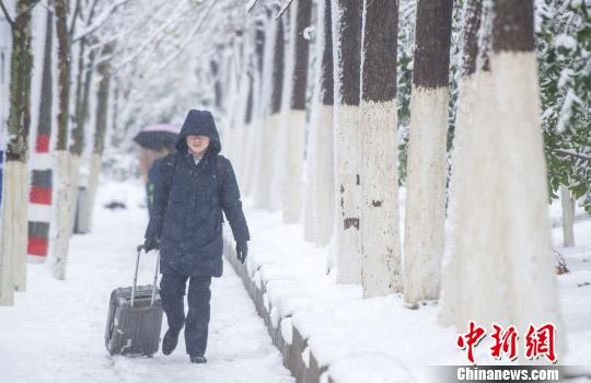 暴雪中的行人。　張婭子 攝