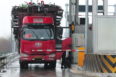 4月13日，京津高速臺(tái)湖收費(fèi)站，一名大貨車司機(jī)從車上下來(lái)取高速卡。本版攝影/新京報(bào)記者 朱駿