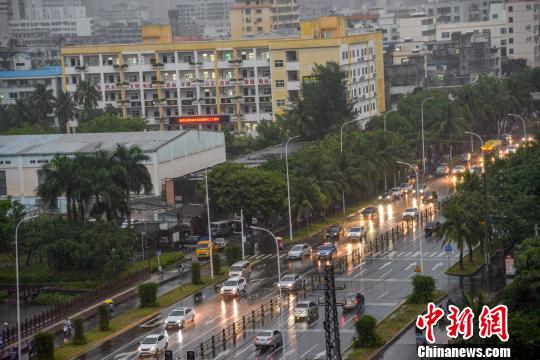 圖為熱帶風暴給海口帶來風雨影響?！『閳赠i 攝