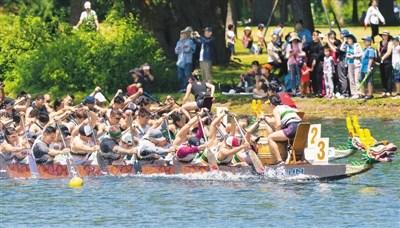 中國(guó)僑網(wǎng)6月16日，加拿大舉行第30屆多倫多國(guó)際龍舟節(jié)，這項(xiàng)為期兩天的傳統(tǒng)活動(dòng)吸引了來(lái)自世界各地的逾5000人參加。圖為參賽者在龍舟賽中。(新華社/鄒崢 攝)