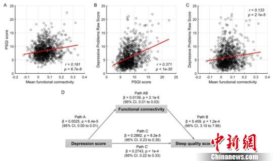 國際合作團(tuán)隊揭示抑郁癥與睡眠問題之間的腦調(diào)控機(jī)制