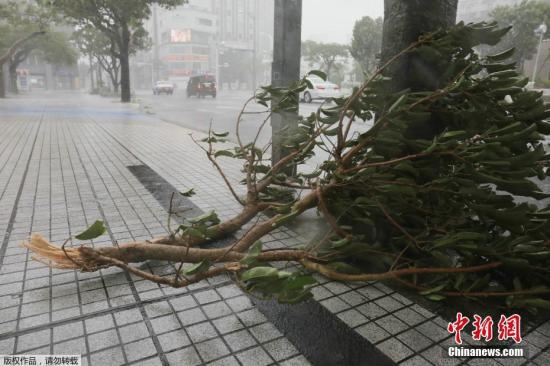 點擊進(jìn)入下一頁