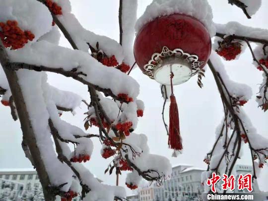 圖為街邊雪景?！垨|艷 攝