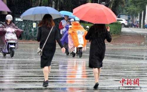 資料圖：2018年11月，福州市民在雨中出行。張斌 攝