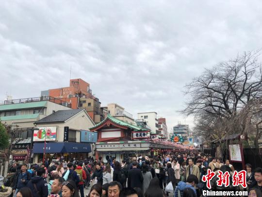 春季出境游升溫原產(chǎn)地“打卡”、“種太陽”之旅等受追捧