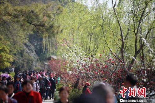 4月1日，大批游客在江蘇揚州瘦西湖踏青游玩，親近自然?！∶系慢?攝