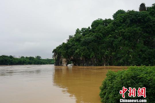 圖為桂林城徽象鼻山被淹?！√茐?mèng)憲 攝